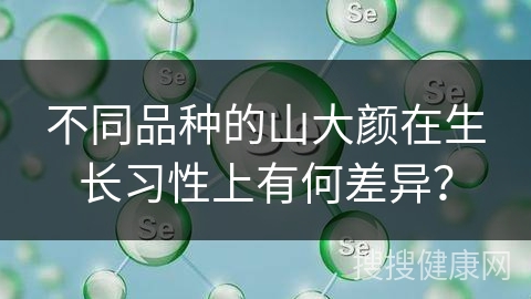 不同品种的山大颜在生长习性上有何差异？