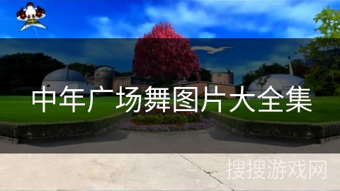 中年广场舞图片大全集 中年广场舞图片大全集