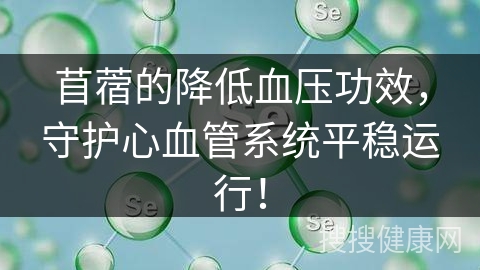 苜蓿的降低血压功效，守护心血管系统平稳运行！