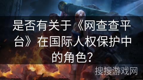 是否有关于《网查查平台》在国际人权保护中的角色？