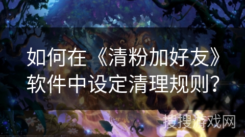 如何在《清粉加好友》软件中设定清理规则？