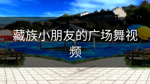 藏族小朋友的广场舞视频