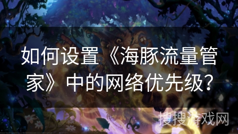 如何设置《海豚流量管家》中的网络优先级？