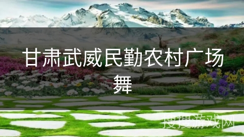 甘肃武威民勤农村广场舞