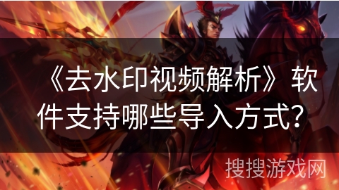 《去水印视频解析》软件支持哪些导入方式？