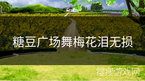 糖豆广场舞梅花泪无损