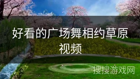 好看的广场舞相约草原视频