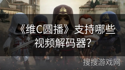 《维C圆播》支持哪些视频解码器？