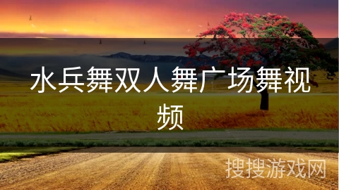 水兵舞双人舞广场舞视频