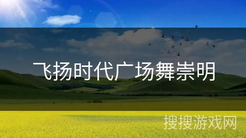 飞扬时代广场舞崇明