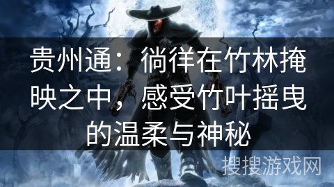 贵州通：徜徉在竹林掩映之中，感受竹叶摇曳的温柔与神秘