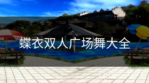 蝶衣双人广场舞大全