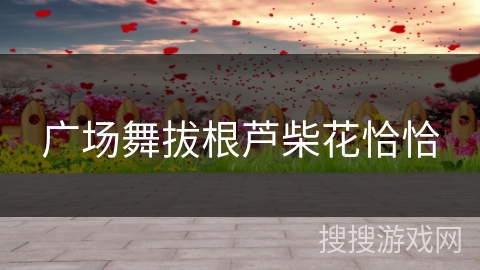 广场舞拔根芦柴花恰恰 广场舞拔根芦柴花恰恰