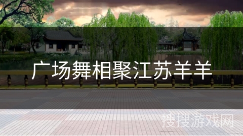 广场舞相聚江苏羊羊 广场舞相聚江苏羊羊