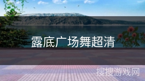 露底广场舞超清