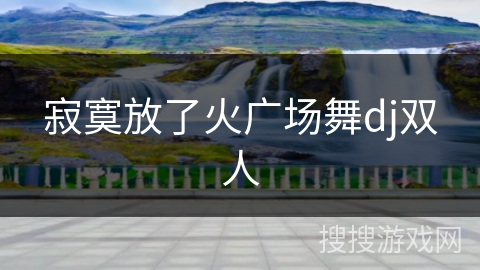 寂寞放了火广场舞dj双人