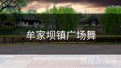 牟家坝镇广场舞