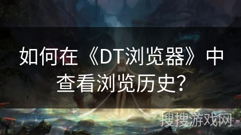 如何在《DT浏览器》中查看浏览历史？