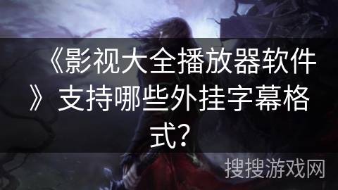 《影视大全播放器软件》支持哪些外挂字幕格式？
