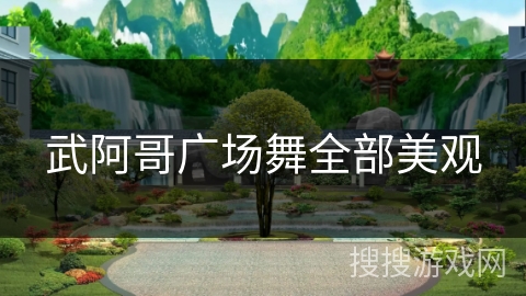 武阿哥广场舞全部美观