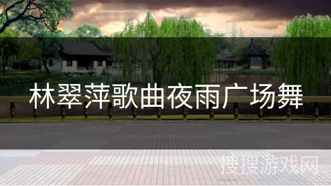林翠萍歌曲夜雨广场舞