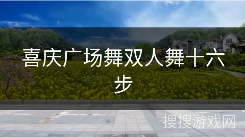 喜庆广场舞双人舞十六步