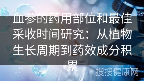 血参的药用部位和最佳采收时间研究：从植物生长周期到药效成分积累