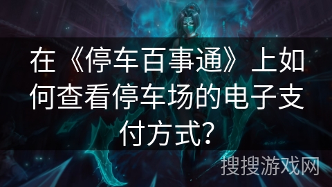 在《停车百事通》上如何查看停车场的电子支付方式？