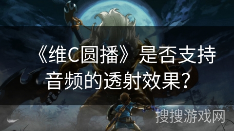《维C圆播》是否支持音频的透射效果？