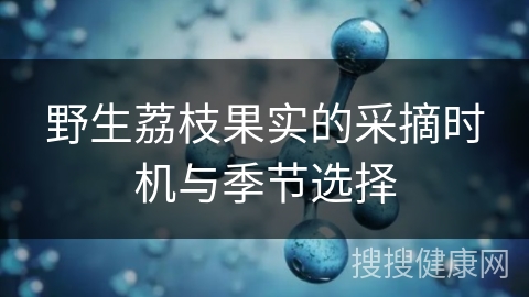 野生荔枝果实的采摘时机与季节选择