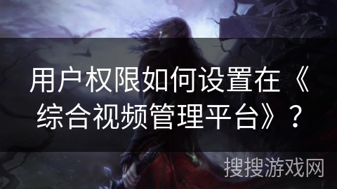 用户权限如何设置在《综合视频管理平台》？