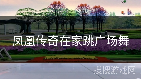 凤凰传奇在家跳广场舞