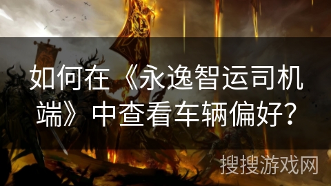 如何在《永逸智运司机端》中查看车辆偏好？