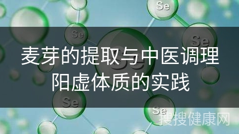 麦芽的提取与中医调理阳虚体质的实践