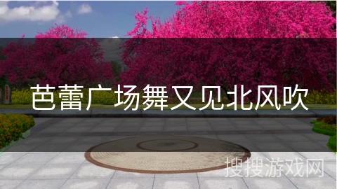 芭蕾广场舞又见北风吹 芭蕾广场舞又见北风吹