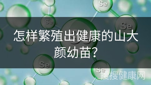 怎样繁殖出健康的山大颜幼苗？