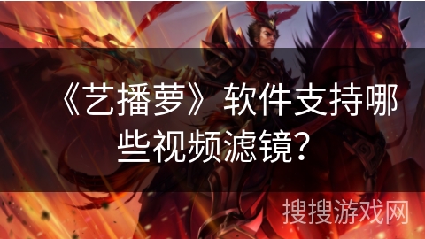 《艺播萝》软件支持哪些视频滤镜？