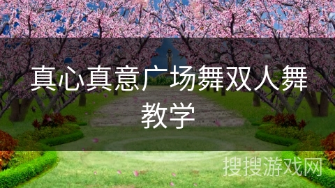 真心真意广场舞双人舞教学