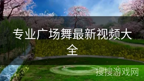 专业广场舞最新视频大全