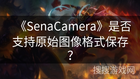 《SenaCamera》是否支持原始图像格式保存？