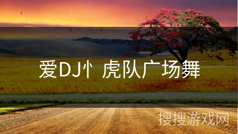爱DJ忄虎队广场舞