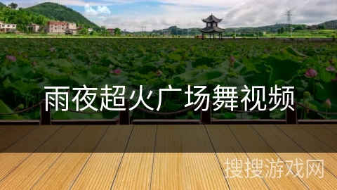 雨夜超火广场舞视频