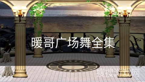 暖哥广场舞全集