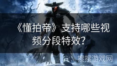 《懂拍帝》支持哪些视频分段特效？