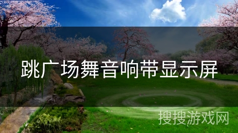 跳广场舞音响带显示屏