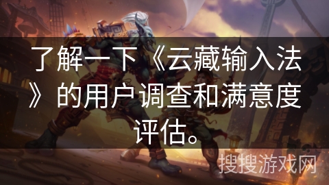 了解一下《云藏输入法》的用户调查和满意度评估。