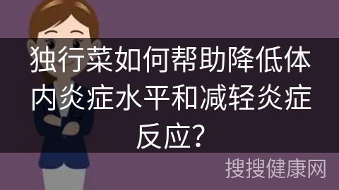 独行菜如何帮助降低体内炎症水平和减轻炎症反应？