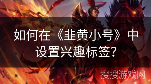 如何在《韭黄小号》中设置兴趣标签？