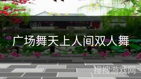 广场舞天上人间双人舞