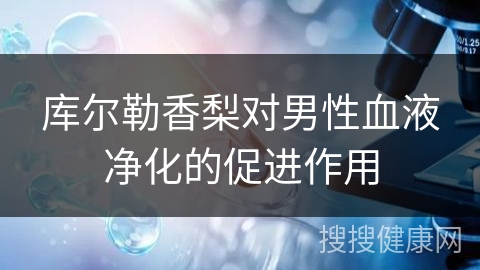 库尔勒香梨对男性血液净化的促进作用